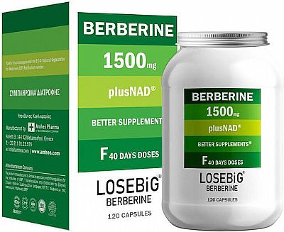 Losebig Berberine 1500mg 120 κάψουλες